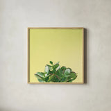 Succulent Simplicity III by Felicity Bradley. Shown in a natural wood glass frame for a timeless modern aesthetic. Available as an archival giclee rolled canvas, fine art paper, or poster print. SKU 33836a.