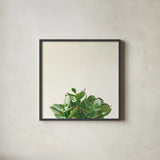 Succulent Simplicity III Neutral by Felicity Bradley. Shown in a sleek black glass frame for a contemporary gallery look. Available as an archival giclee rolled canvas, fine art paper, or poster print. SKU 41650a.