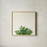Succulent Simplicity III Neutral by Felicity Bradley. Shown in a natural wood glass frame for a timeless modern aesthetic. Available as an archival giclee rolled canvas, fine art paper, or poster print. SKU 41650a.