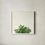 Succulent Simplicity III Neutral by Felicity Bradley. Shown in a crisp white glass frame for a clean and minimalist style. Available as an archival giclee rolled canvas, fine art paper, or poster print. SKU 41650a.