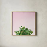 Succulent Simplicity III on Pink by Felicity Bradley. Shown in a natural wood glass frame for a timeless modern aesthetic. Available as an archival giclee rolled canvas, fine art paper, or poster print. SKU 34349a.