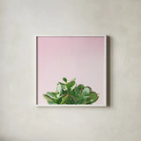 Succulent Simplicity III on Pink by Felicity Bradley. Shown in a crisp white glass frame for a clean and minimalist style. Available as an archival giclee rolled canvas, fine art paper, or poster print. SKU 34349a.