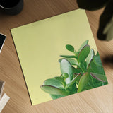 Succulent Simplicity IV by Felicity Bradley. Shown as a detailed flat fine art print, highlighting archival giclee quality. Available as an archival giclee rolled canvas, fine art paper, or poster print. SKU 33837a.