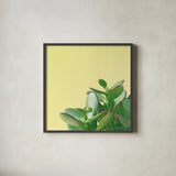 Succulent Simplicity IV by Felicity Bradley. Shown in a sleek black glass frame for a contemporary gallery look. Available as an archival giclee rolled canvas, fine art paper, or poster print. SKU 33837a.