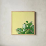 Succulent Simplicity IV by Felicity Bradley. Shown in a natural wood glass frame for a timeless modern aesthetic. Available as an archival giclee rolled canvas, fine art paper, or poster print. SKU 33837a.