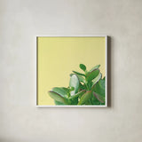Succulent Simplicity IV by Felicity Bradley. Shown in a crisp white glass frame for a clean and minimalist style. Available as an archival giclee rolled canvas, fine art paper, or poster print. SKU 33837a.
