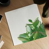 Succulent Simplicity IV Neutral by Felicity Bradley. Shown as a detailed flat fine art print, highlighting archival giclee quality. Available as an archival giclee rolled canvas, fine art paper, or poster print. SKU 41651a.