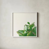 Succulent Simplicity IV Neutral by Felicity Bradley. Shown in a crisp white glass frame for a clean and minimalist style. Available as an archival giclee rolled canvas, fine art paper, or poster print. SKU 41651a.