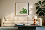 Succulent Simplicity IV Neutral by Felicity Bradley. Displayed in a glass frame with matte in a clean modern living room. Available as an archival giclee rolled canvas, fine art paper, or poster print. SKU 41651a.