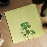 Succulent Simplicity IX by Felicity Bradley. Shown as a detailed flat fine art print, highlighting archival giclee quality. Available as an archival giclee rolled canvas, fine art paper, or poster print. SKU 33842a.