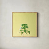 Succulent Simplicity IX by Felicity Bradley. Shown in a natural wood glass frame for a timeless modern aesthetic. Available as an archival giclee rolled canvas, fine art paper, or poster print. SKU 33842a.