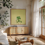 Succulent Simplicity IX by Felicity Bradley. Shown in a natural wood frame in a cozy modern living room. Available as an archival giclee rolled canvas, fine art paper, or poster print. SKU 33842a.