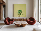 Succulent Simplicity IX by Felicity Bradley. Shown as extra-large giant wall art in a modern living room. Available as an archival giclee rolled canvas, fine art paper, or poster print. SKU 33842a.