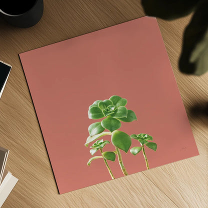 Succulent Simplicity IX Coral by Felicity Bradley. Shown as a detailed flat fine art print, highlighting archival giclee quality. Available as an archival giclee rolled canvas, fine art paper, or poster print. SKU 54225a.