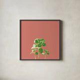 Succulent Simplicity IX Coral by Felicity Bradley. Shown in a sleek black glass frame for a contemporary gallery look. Available as an archival giclee rolled canvas, fine art paper, or poster print. SKU 54225a.