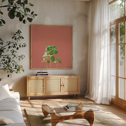 Succulent Simplicity IX Coral by Felicity Bradley. Shown in a natural wood frame in a cozy modern living room. Available as an archival giclee rolled canvas, fine art paper, or poster print. SKU 54225a.