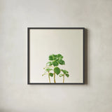Succulent Simplicity IX Neutral by Felicity Bradley. Shown in a sleek black glass frame for a contemporary gallery look. Available as an archival giclee rolled canvas, fine art paper, or poster print. SKU 41656a.