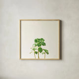 Succulent Simplicity IX Neutral by Felicity Bradley. Shown in a natural wood glass frame for a timeless modern aesthetic. Available as an archival giclee rolled canvas, fine art paper, or poster print. SKU 41656a.
