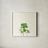 Succulent Simplicity IX Neutral by Felicity Bradley. Shown in a crisp white glass frame for a clean and minimalist style. Available as an archival giclee rolled canvas, fine art paper, or poster print. SKU 41656a.
