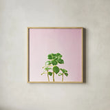Succulent Simplicity IX on Pink by Felicity Bradley. Shown in a natural wood glass frame for a timeless modern aesthetic. Available as an archival giclee rolled canvas, fine art paper, or poster print. SKU 34352a.