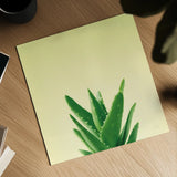 Succulent Simplicity V by Felicity Bradley. Shown as a detailed flat fine art print, highlighting archival giclee quality. Available as an archival giclee rolled canvas, fine art paper, or poster print. SKU 33838a.