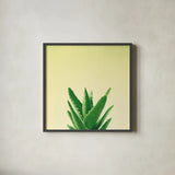 Succulent Simplicity V by Felicity Bradley. Shown in a sleek black glass frame for a contemporary gallery look. Available as an archival giclee rolled canvas, fine art paper, or poster print. SKU 33838a.