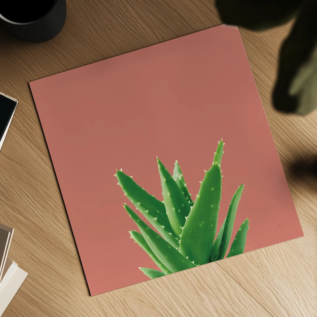 Succulent Simplicity V Coral by Felicity Bradley. Shown as a detailed flat fine art print, highlighting archival giclee quality. Available as an archival giclee rolled canvas, fine art paper, or poster print. SKU 54223a.