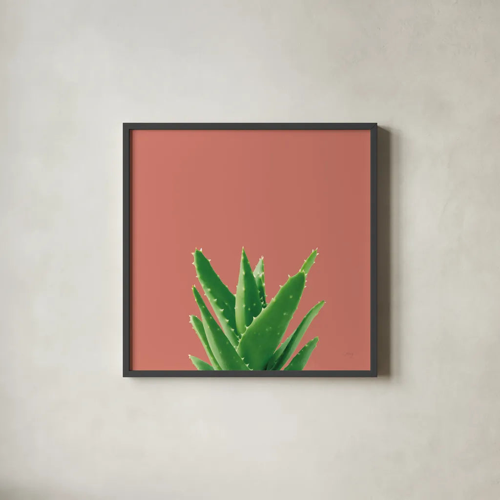 Succulent Simplicity V Coral by Felicity Bradley. Shown in a sleek black glass frame for a contemporary gallery look. Available as an archival giclee rolled canvas, fine art paper, or poster print. SKU 54223a.