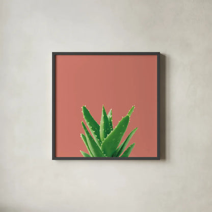 Succulent Simplicity V Coral by Felicity Bradley. Shown in a sleek black glass frame for a contemporary gallery look. Available as an archival giclee rolled canvas, fine art paper, or poster print. SKU 54223a.