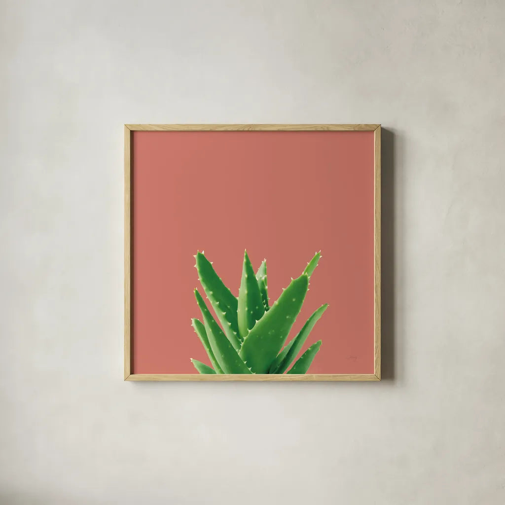 Succulent Simplicity V Coral by Felicity Bradley. Shown in a natural wood glass frame for a timeless modern aesthetic. Available as an archival giclee rolled canvas, fine art paper, or poster print. SKU 54223a.