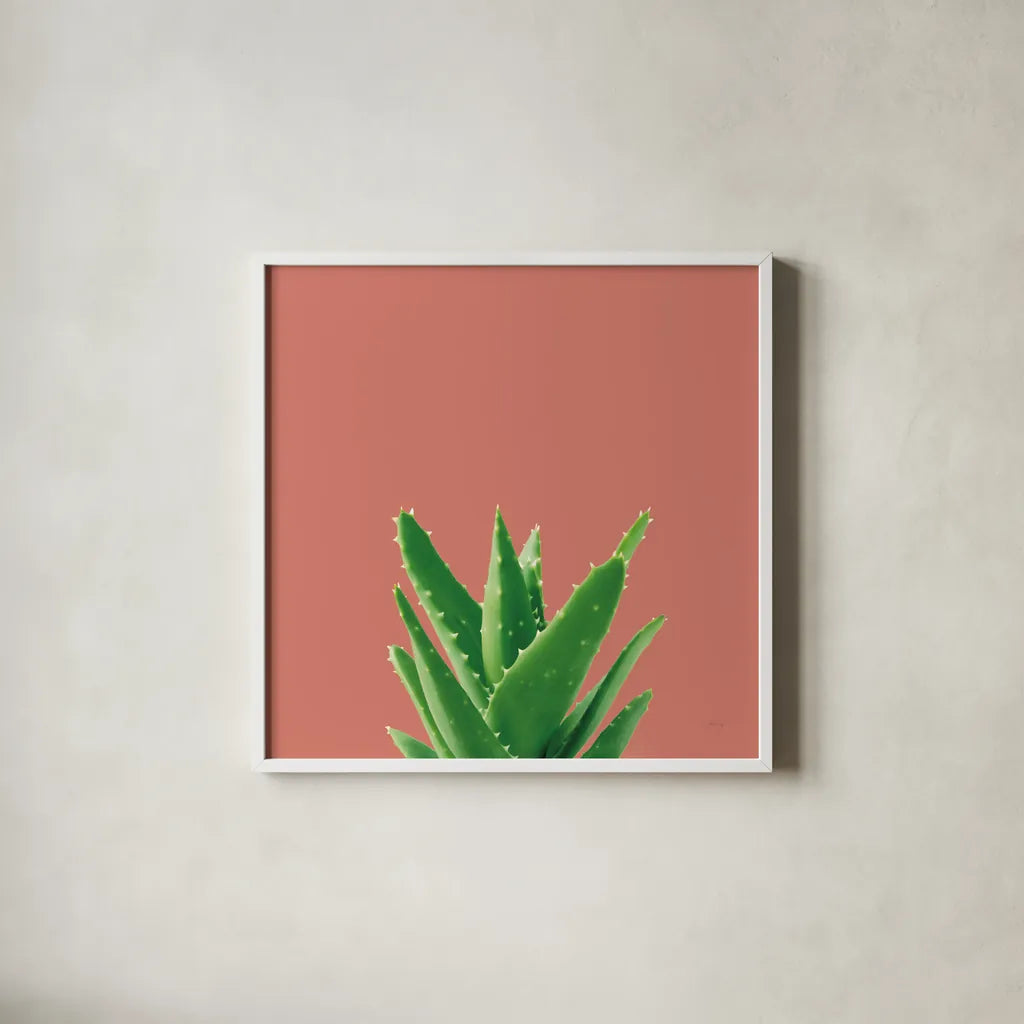 Succulent Simplicity V Coral by Felicity Bradley. Shown in a crisp white glass frame for a clean and minimalist style. Available as an archival giclee rolled canvas, fine art paper, or poster print. SKU 54223a.
