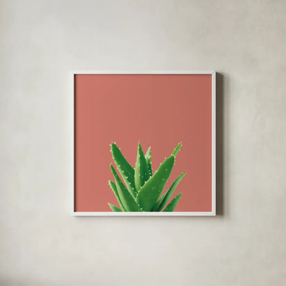 Succulent Simplicity V Coral by Felicity Bradley. Shown in a crisp white glass frame for a clean and minimalist style. Available as an archival giclee rolled canvas, fine art paper, or poster print. SKU 54223a.