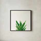Succulent Simplicity V Neutral by Felicity Bradley. Shown in a sleek black glass frame for a contemporary gallery look. Available as an archival giclee rolled canvas, fine art paper, or poster print. SKU 41652a.