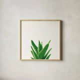 Succulent Simplicity V Neutral by Felicity Bradley. Shown in a natural wood glass frame for a timeless modern aesthetic. Available as an archival giclee rolled canvas, fine art paper, or poster print. SKU 41652a.