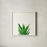 Succulent Simplicity V Neutral by Felicity Bradley. Shown in a crisp white glass frame for a clean and minimalist style. Available as an archival giclee rolled canvas, fine art paper, or poster print. SKU 41652a.