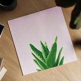 Succulent Simplicity V on Pink by Felicity Bradley. Shown as a detailed flat fine art print, highlighting archival giclee quality. Available as an archival giclee rolled canvas, fine art paper, or poster print. SKU 34350a.