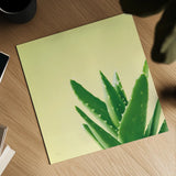Succulent Simplicity VI by Felicity Bradley. Shown as a detailed flat fine art print, highlighting archival giclee quality. Available as an archival giclee rolled canvas, fine art paper, or poster print. SKU 33839a.