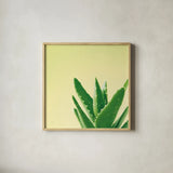 Succulent Simplicity VI by Felicity Bradley. Shown in a natural wood glass frame for a timeless modern aesthetic. Available as an archival giclee rolled canvas, fine art paper, or poster print. SKU 33839a.