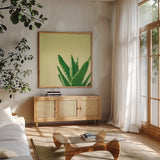 Succulent Simplicity VI by Felicity Bradley. Shown in a natural wood frame in a cozy modern living room. Available as an archival giclee rolled canvas, fine art paper, or poster print. SKU 33839a.
