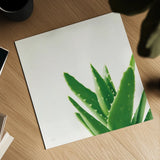 Succulent Simplicity VI Neutral by Felicity Bradley. Shown as a detailed flat fine art print, highlighting archival giclee quality. Available as an archival giclee rolled canvas, fine art paper, or poster print. SKU 41653a.