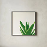 Succulent Simplicity VI Neutral by Felicity Bradley. Shown in a sleek black glass frame for a contemporary gallery look. Available as an archival giclee rolled canvas, fine art paper, or poster print. SKU 41653a.
