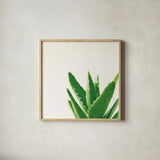 Succulent Simplicity VI Neutral by Felicity Bradley. Shown in a natural wood glass frame for a timeless modern aesthetic. Available as an archival giclee rolled canvas, fine art paper, or poster print. SKU 41653a.