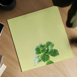 Succulent Simplicity VII by Felicity Bradley. Shown as a detailed flat fine art print, highlighting archival giclee quality. Available as an archival giclee rolled canvas, fine art paper, or poster print. SKU 33840a.