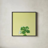 Succulent Simplicity VII by Felicity Bradley. Shown in a sleek black glass frame for a contemporary gallery look. Available as an archival giclee rolled canvas, fine art paper, or poster print. SKU 33840a.