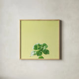 Succulent Simplicity VII by Felicity Bradley. Shown in a natural wood glass frame for a timeless modern aesthetic. Available as an archival giclee rolled canvas, fine art paper, or poster print. SKU 33840a.