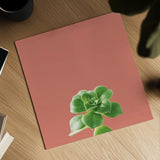 Succulent Simplicity VII Coral by Felicity Bradley. Shown as a detailed flat fine art print, highlighting archival giclee quality. Available as an archival giclee rolled canvas, fine art paper, or poster print. SKU 54224a.
