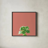 Succulent Simplicity VII Coral by Felicity Bradley. Shown in a sleek black glass frame for a contemporary gallery look. Available as an archival giclee rolled canvas, fine art paper, or poster print. SKU 54224a.