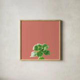 Succulent Simplicity VII Coral by Felicity Bradley. Shown in a natural wood glass frame for a timeless modern aesthetic. Available as an archival giclee rolled canvas, fine art paper, or poster print. SKU 54224a.