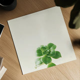 Succulent Simplicity VII Neutral by Felicity Bradley. Shown as a detailed flat fine art print, highlighting archival giclee quality. Available as an archival giclee rolled canvas, fine art paper, or poster print. SKU 41654a.