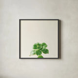 Succulent Simplicity VII Neutral by Felicity Bradley. Shown in a sleek black glass frame for a contemporary gallery look. Available as an archival giclee rolled canvas, fine art paper, or poster print. SKU 41654a.
